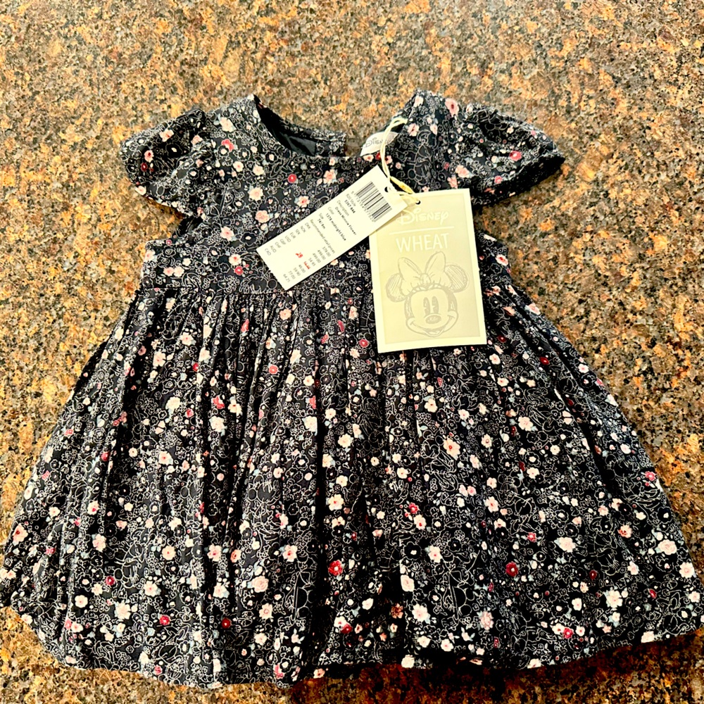 Brand new Disney dress!